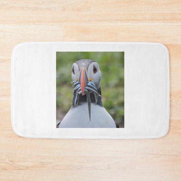 Item preview, Atlantic Puffin with sandeels, Farne Islands designed and sold by Richard Greenwood.