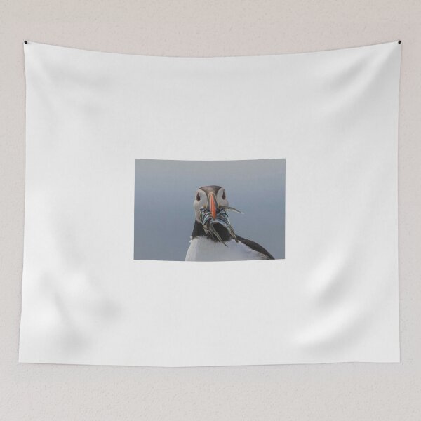Item preview, Atlantic Puffin with sandeels, Farne Islands designed and sold by Richard Greenwood.