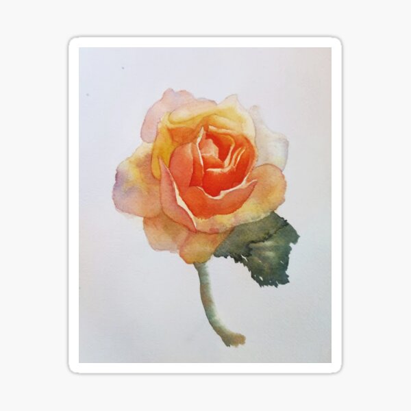 Watercolor Rose flower botanical yellow orange painting Sticker