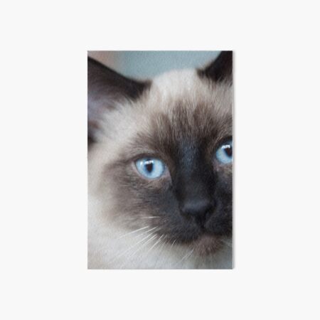New Baby Art Board Print