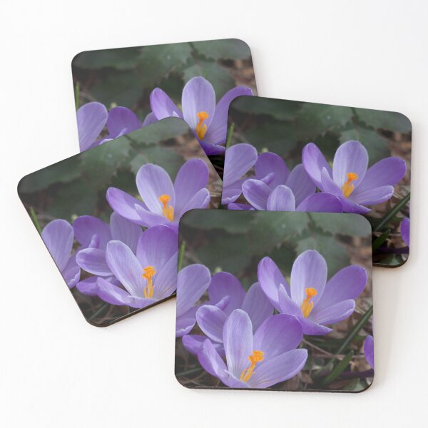 Item preview,  que fue tarde para estas flores este año. Fueron enterrados bajo una tonelada de nieve el año pasado. designed and sold by BCasTal.