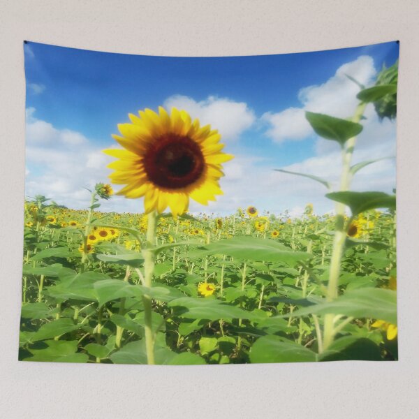 Item preview, Sunflower photography - Pumpkin patch designed and sold by gloriasd14.