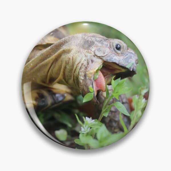 Item preview, Harold Eating v.2 designed and sold by Mira Arbreton.