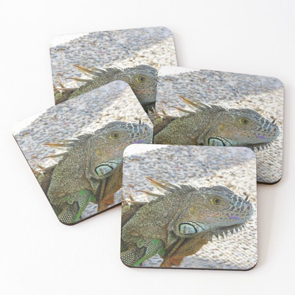 Item preview, Iguana enjoying a flower designed and sold by Regina Landeck.