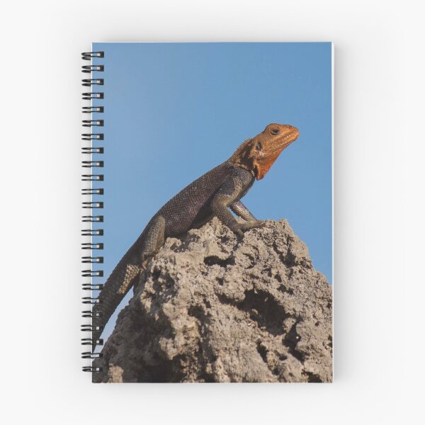 Item preview, Red-Headed Agama designed and sold by Jacquelie.