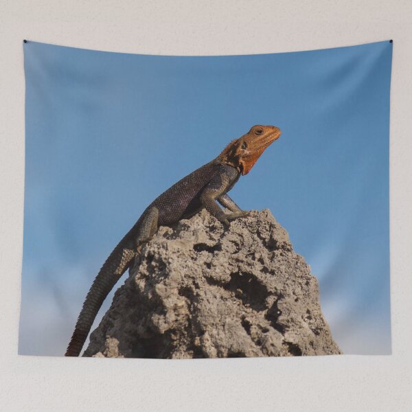 Item preview, Red-Headed Agama designed and sold by Jacquelie.