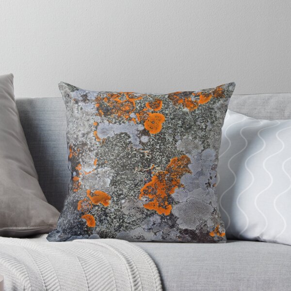 Aperçu de l'œuvre Lichen orange et gris créée et vendue par RubySting.