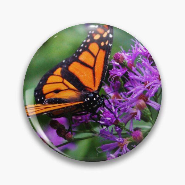 Item preview, Monarch On Purple Flowers designed and sold by Cynthia48.