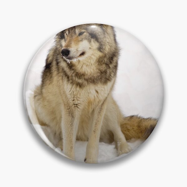 Item preview, Sitting Pretty designed and sold by Yannik Hay.