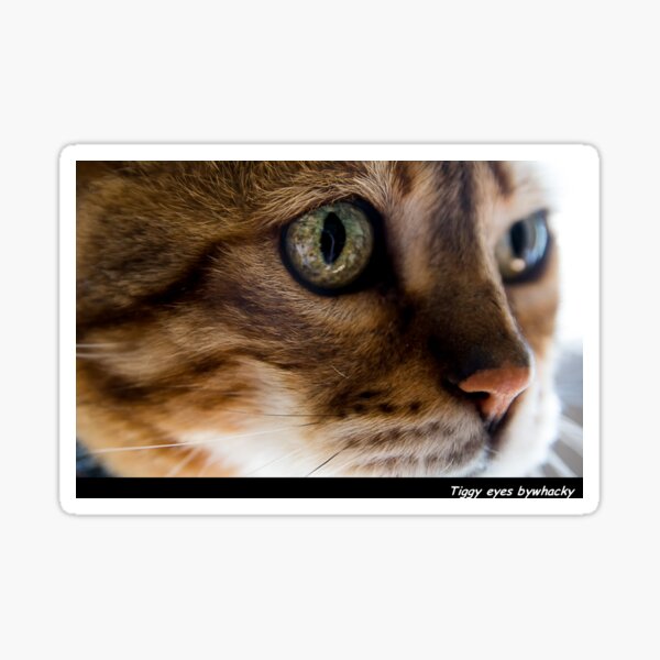 Item preview, Tiggy Eyes  designed and sold by designbywhacky.