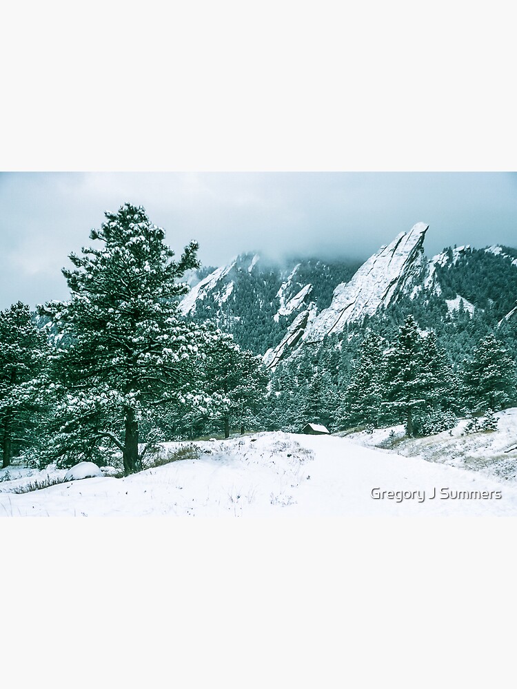 Bluebell Road And The Flatirons by nikongreg