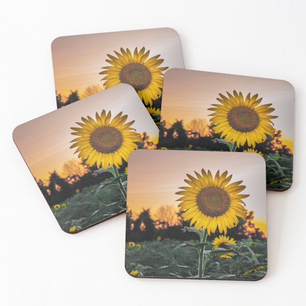 Item preview, Sunflower Fields designed and sold by Bryan Stuckey.