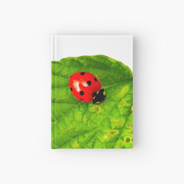 Little Things Hardcover Journal