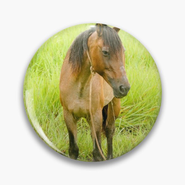 Item preview, hli bay horse designed and sold by pcfyi.