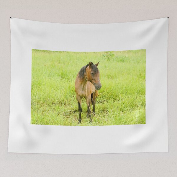 Item preview, hli bay horse designed and sold by pcfyi.