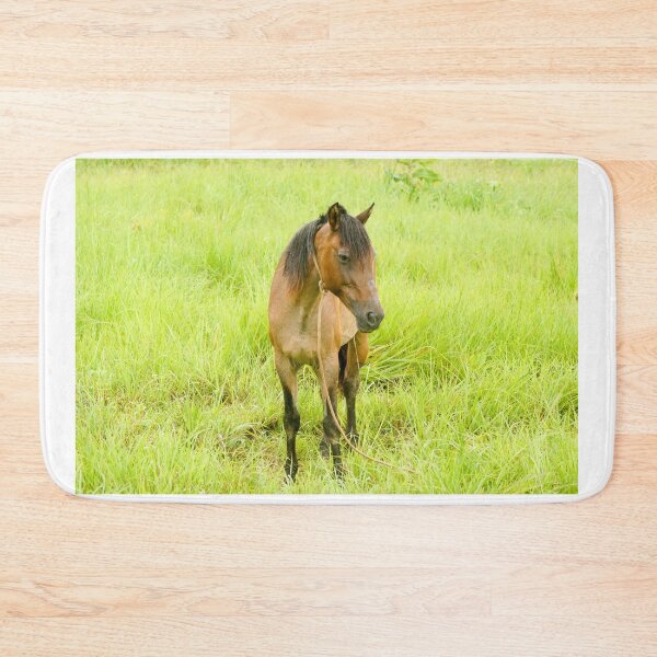 Item preview, hli bay horse designed and sold by pcfyi.