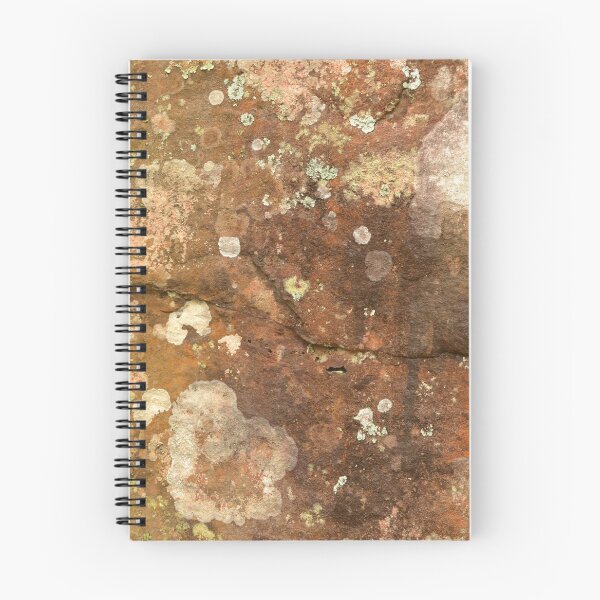 Aperçu de l'œuvre Face rocheuse avec lichen rose créée et vendue par RubySting.