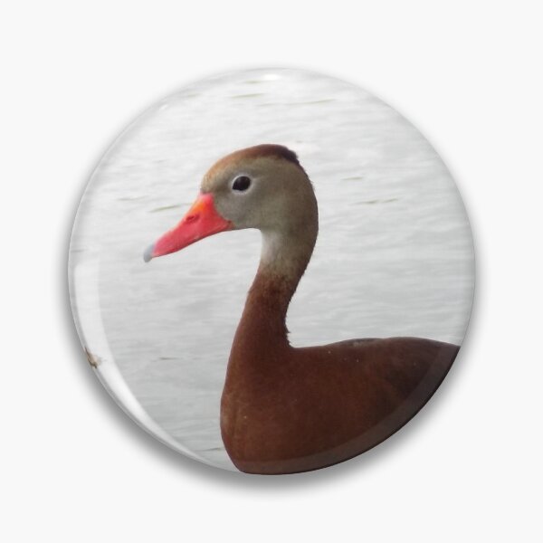 Item preview, Black-bellied Whistling Ducks (Dendrocygna autumnalis) Preparing to Nap designed and sold by Inuyasha907.