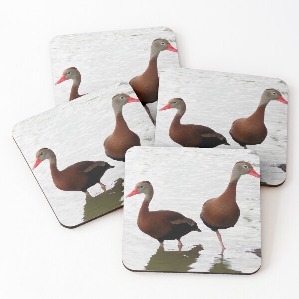 Item preview, Black-bellied Whistling Ducks (Dendrocygna autumnalis) Preparing to Nap designed and sold by Inuyasha907.