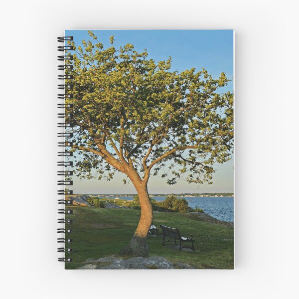 Item preview, The Trees of Fort Phoenix designed and sold by Poete100.