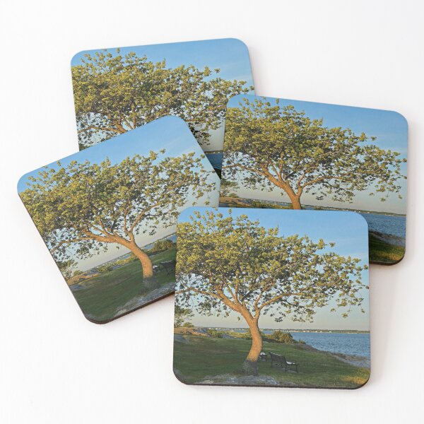 Item preview, The Trees of Fort Phoenix designed and sold by Poete100.