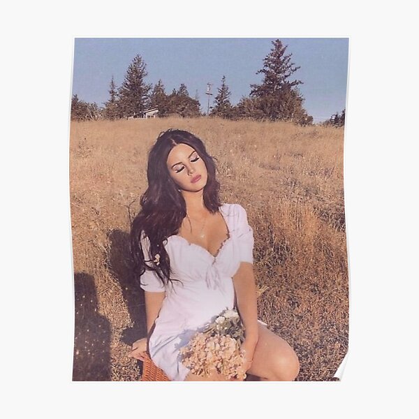 lana meadow Poster
