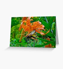 Tiger Swallowtail Butterfly and Turk's Cap Lily Wildflower Greeting Card
