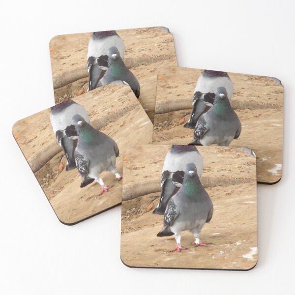 Item preview, Angry Pigeon (Columba livia) designed and sold by Inuyasha907.
