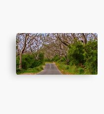 "On The Road To The Cape" Canvas Print