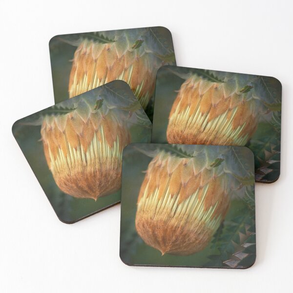 Item preview, Ready to flower designed and sold by Malcolm Heberle.