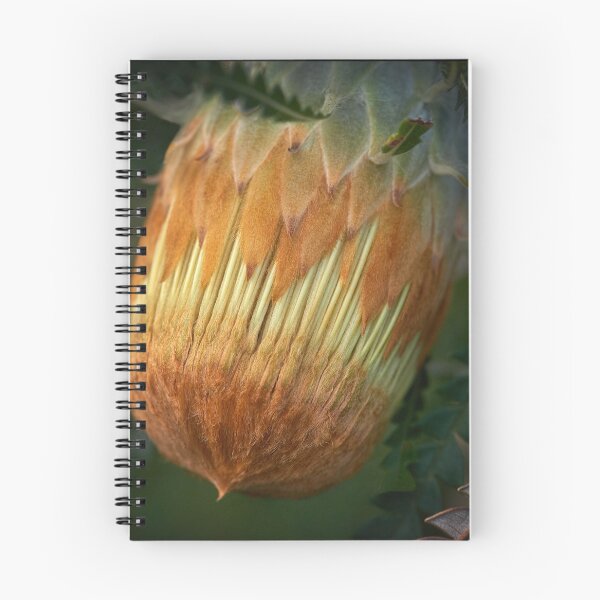 Item preview, Ready to flower designed and sold by Malcolm Heberle.