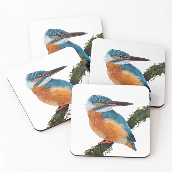 Sacred Kingfisher Front Coasters (Set of 4)