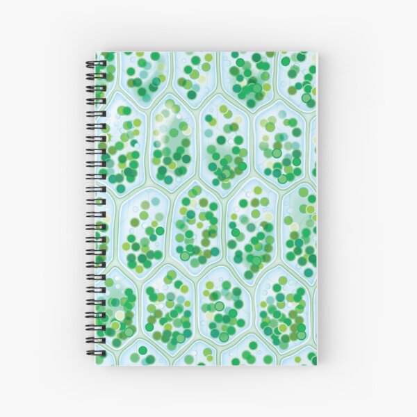 Item preview, Chlorophyll Cells seamless pattern designed and sold by MysticaLink.