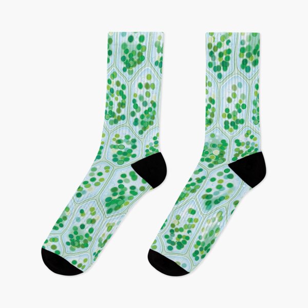 Item preview, Chlorophyll Cells seamless pattern designed and sold by MysticaLink.