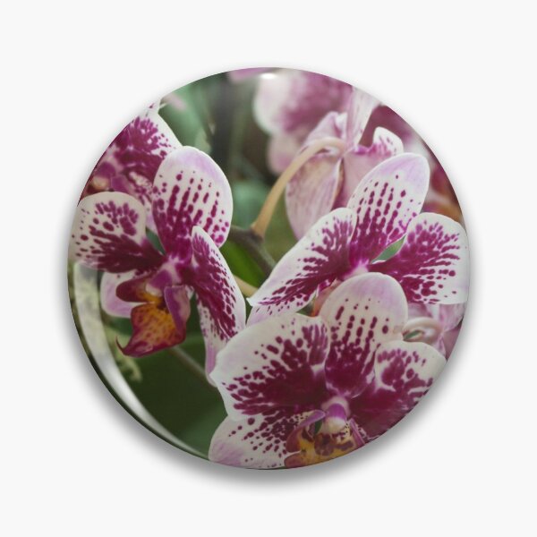 Item preview, Orchids III designed and sold by Jacquelie.