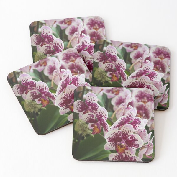 Item preview, Orchids III designed and sold by Jacquelie.