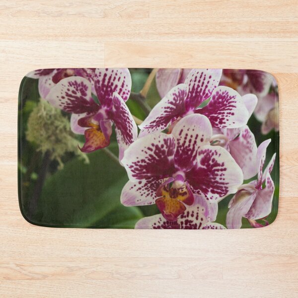 Item preview, Orchids III designed and sold by Jacquelie.