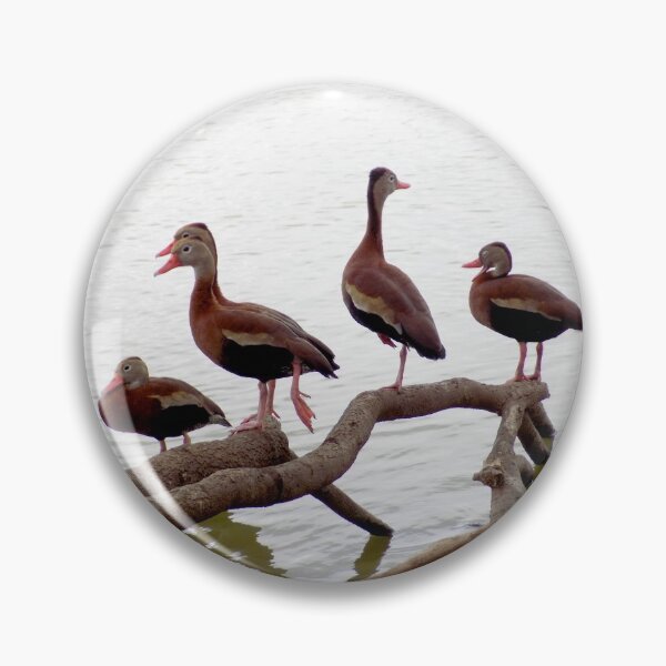 Item preview, An Arc of Black-bellied Whistling Ducks (Dendrocygna autumnalis) designed and sold by Inuyasha907.