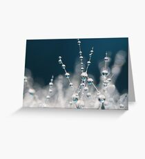 Snow White & Ice Blue Greeting Card
