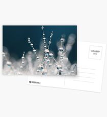 Snow White & Ice Blue Postcards