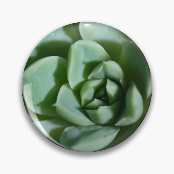 Item preview, Petalled Succulent - Agave designed and sold by Carole-Anne.