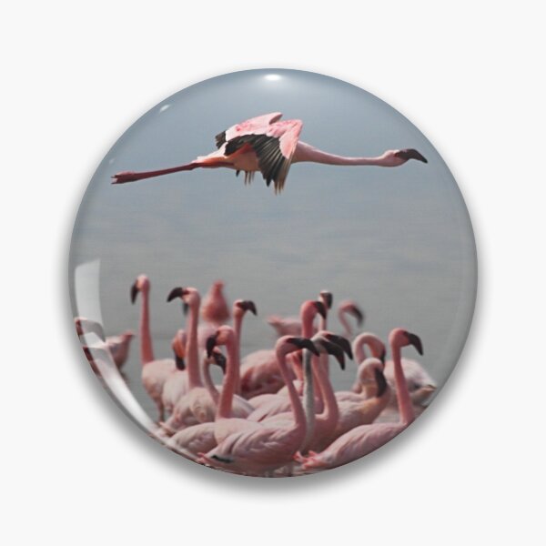 Item preview, Lone Flyer, Lake Nakuru, Kenya designed and sold by Carole-Anne.