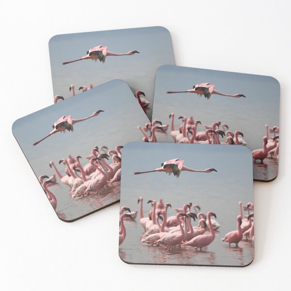 Item preview, Lone Flyer, Lake Nakuru, Kenya designed and sold by Carole-Anne.