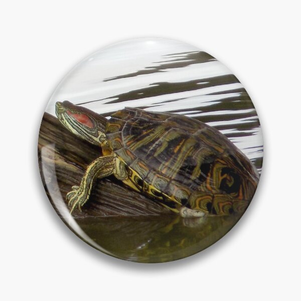 Item preview, Red Eared Sliders (Trachemys scripta elegans) Under a Bridge designed and sold by Inuyasha907.
