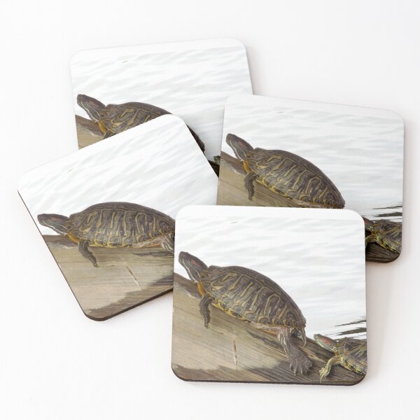 Item preview, Red Eared Sliders (Trachemys scripta elegans) Under a Bridge designed and sold by Inuyasha907.