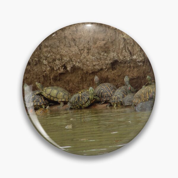 Item preview, A Plethora of Turtles!  designed and sold by Inuyasha907.