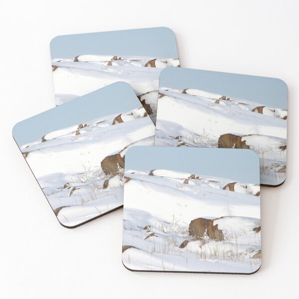 Item preview, Snowed Rocks, Churchill, Canada designed and sold by Carole-Anne.