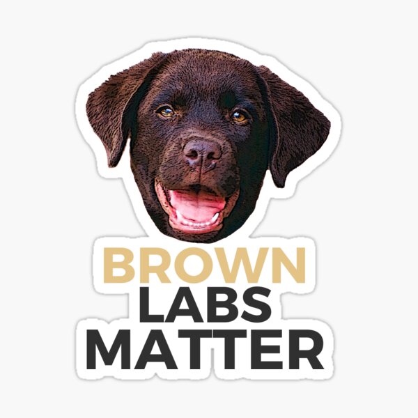 DAD-62SC Yellow Labrador 'Love You Dad' Single Leather Photo Coaster Animal Bre 