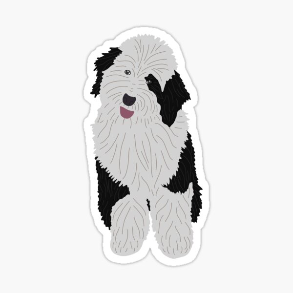 Sheepadoodle gifts discount