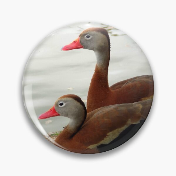 Item preview, A Couple of Black-bellied Whistling Ducks (Dendrocygna autumnalis) designed and sold by Inuyasha907.